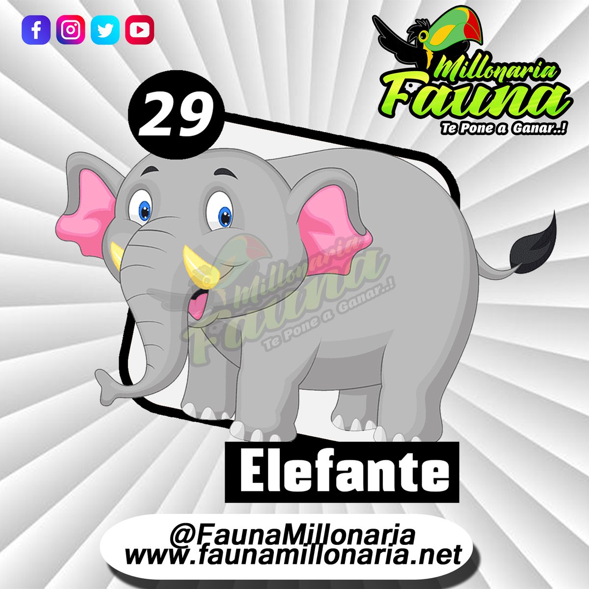 Fauna Millonaria 
Fecha 10/07/2022 
Hora : 7:30 Pm 
29  Elefante
Telegram - t.me/minifauna                    
Web : faunavzla.net
