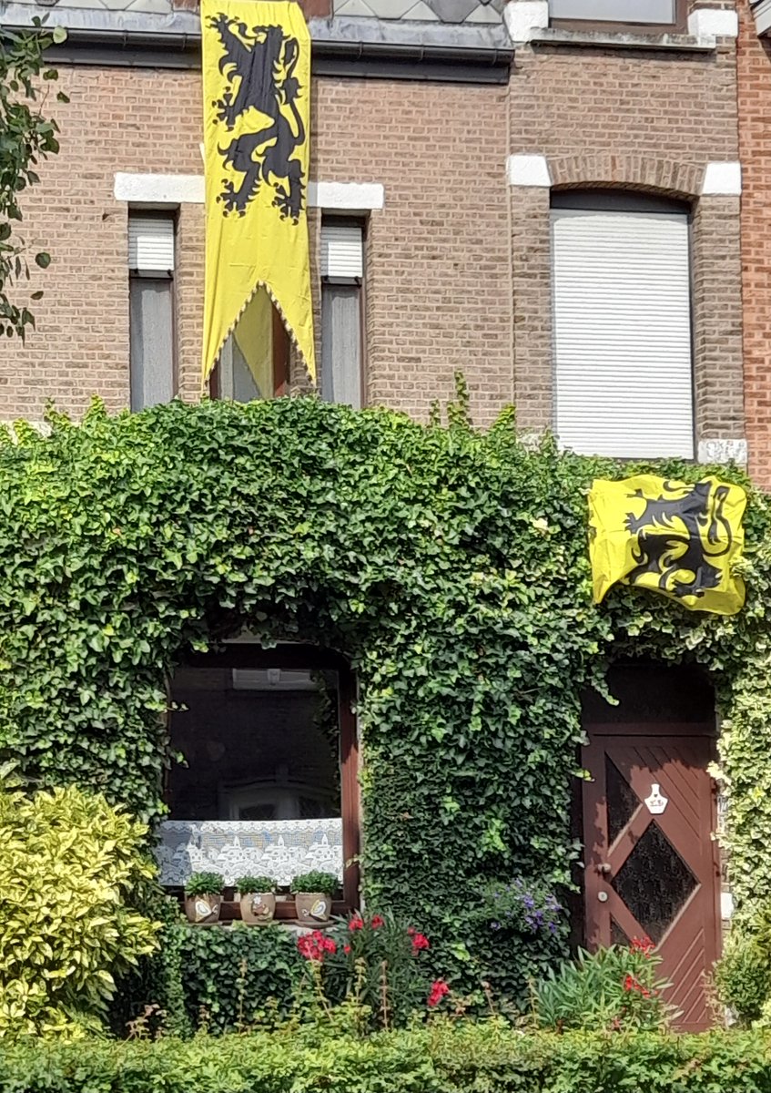 Fijne Vlaamse feestdag 👍🏻
#11juli #Vlaamsefeestdag