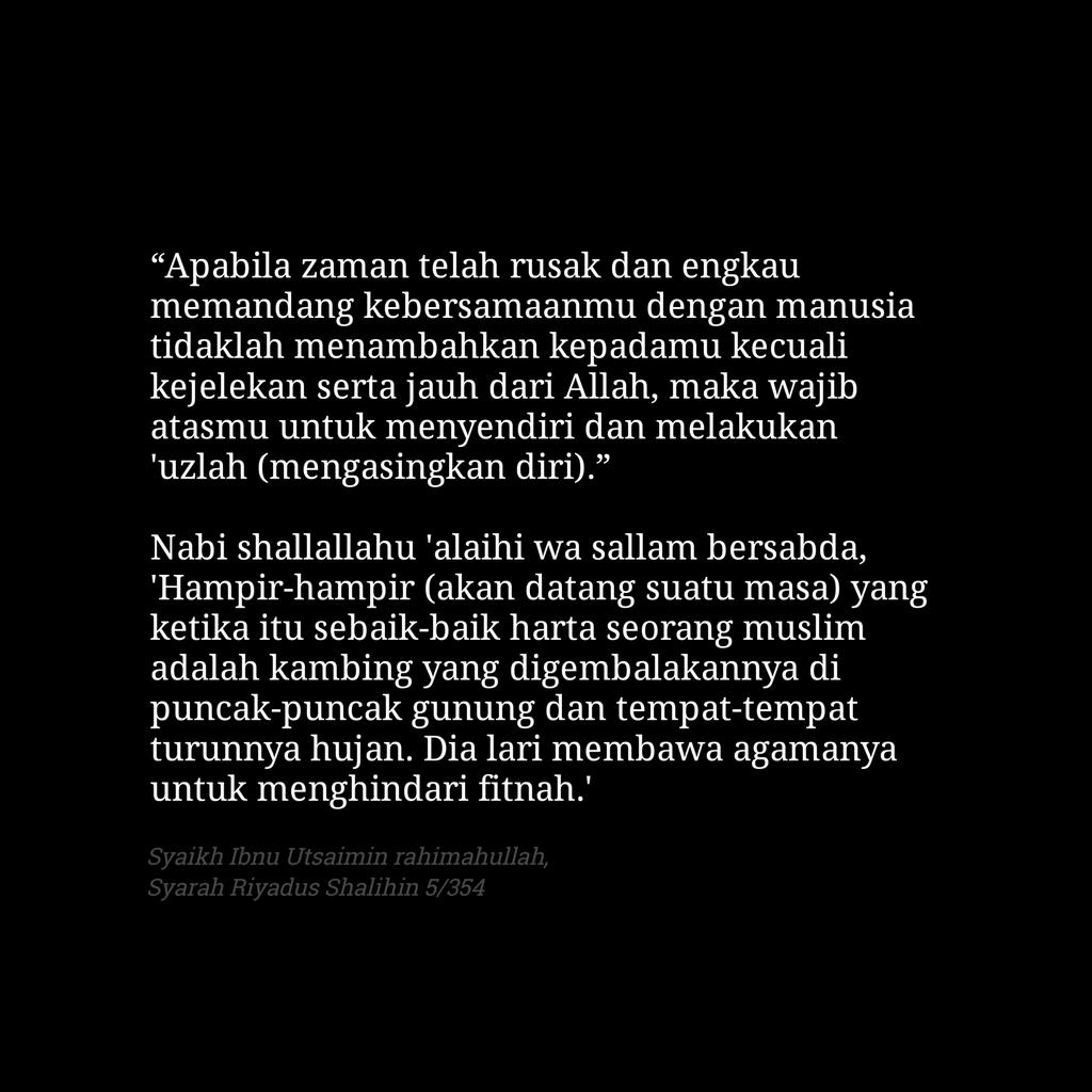 . tweet media
