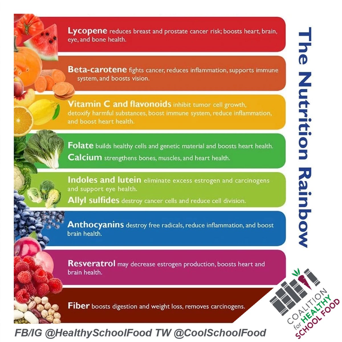 CoolSchoolFood's tweet photo. “Pigments that give fruits &amp; vegetables their bright colors represent a variety of protective compounds. By eating all the colors of the nutrition rainbow, you’ll harness the power of these cancer-fighting &amp; immune-boosting foods!”
- Physicians Committee for Responsible Medicine https://t.co/GOXy8j4rKz
