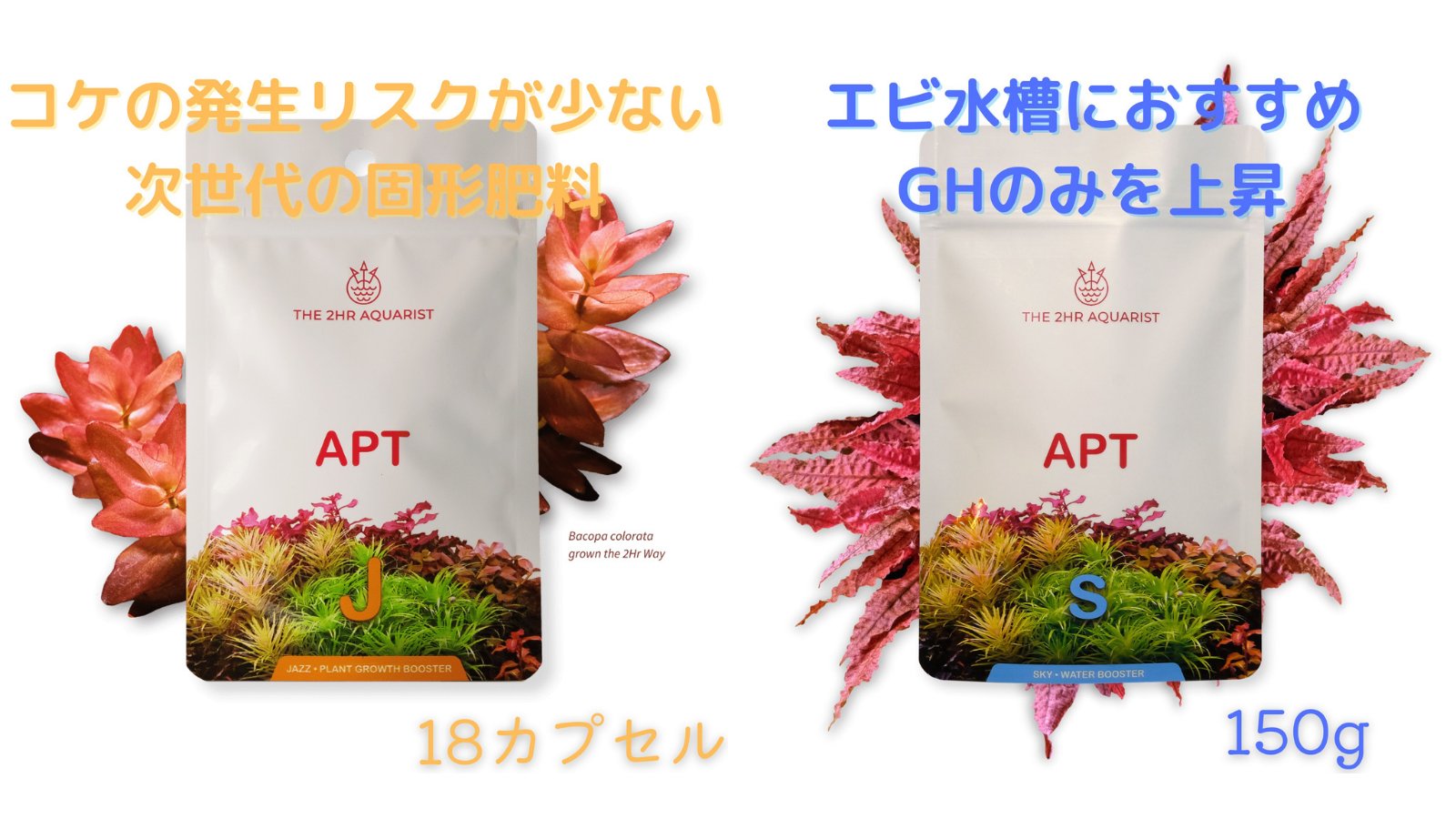 独学アクア The 2hr Aquarist Japan The 2hr Aquaristの新商品 固形肥料apt Jazzとgh上昇剤apt Sky Apt Jazzはソイルに栄養素の補給や水中の硝酸塩を制限したい方におすすめ Apt Skyはエビ 類を繁殖させたい方やghを好むブセファランドラなどの水草の