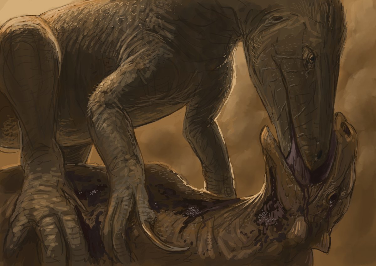 JoschuaKnuppe's tweet photo. Results from the #Paleostream 
Tiarajudens, Rolfodon, Siats and Ampelomeryx https://t.co/hwLfrIwtNh