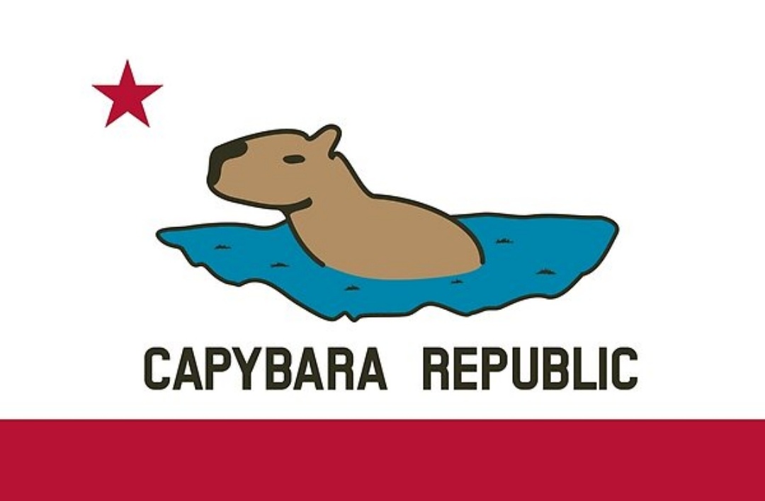 heyspacebuck's tweet photo. If you want to appreciate capybaras (and vexillology) you can buy something from here! All proceeds continue to go to legal aid for youth migrants at the border. https://t.co/xsMJIYipCJ https://t.co/czjcCmbUxZ