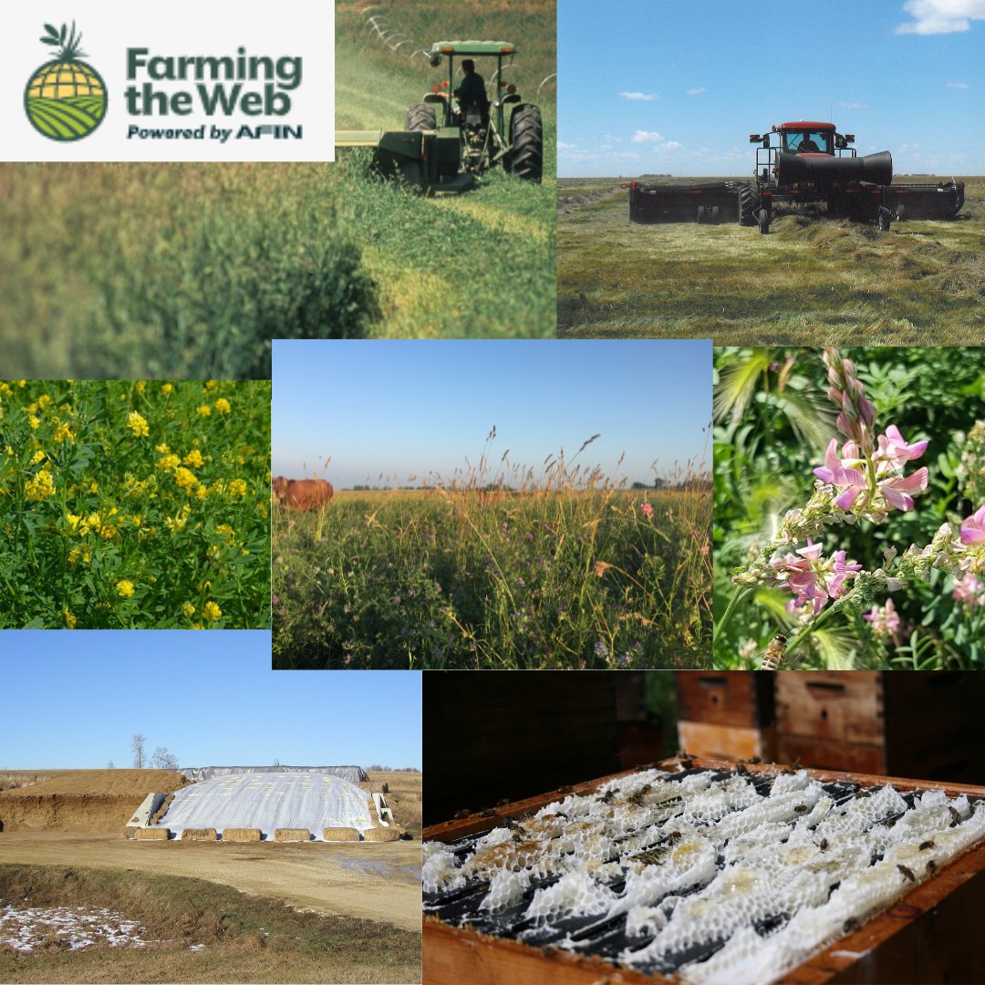 farmingtheweb's tweet photo. Visit Farming the Web today to browse our
listings or to list your items! https://t.co/08SGcyy556
#listnow #ForFarmersByFarmers #farmingtheweb
#farminglife #ranching #forage https://t.co/W8wO3BhKRl