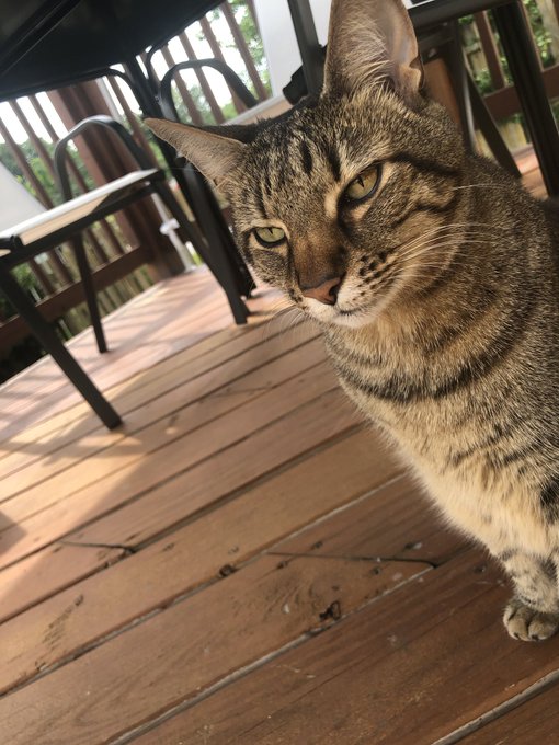 I have the prettiest pussy https://t.co/R2y8fnRmId