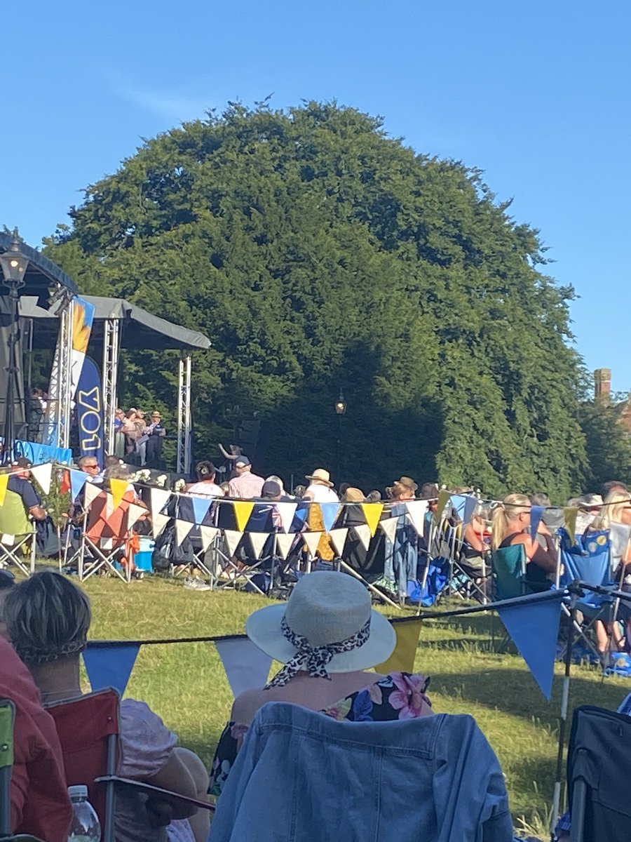 Zillah Ingledew ⚔️🏳️‍🌈 tweet media