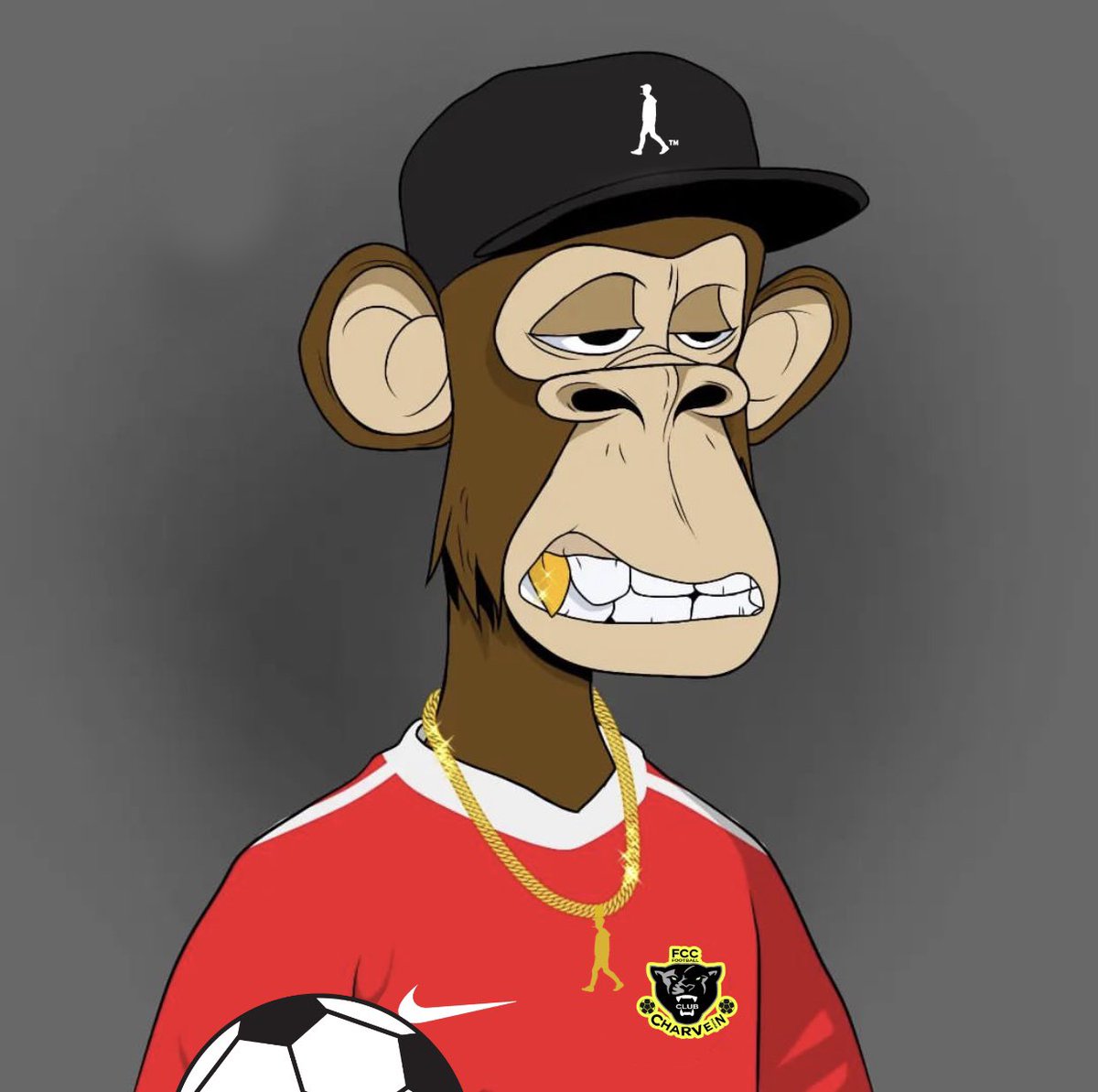 FC CHARVEIN tweet media