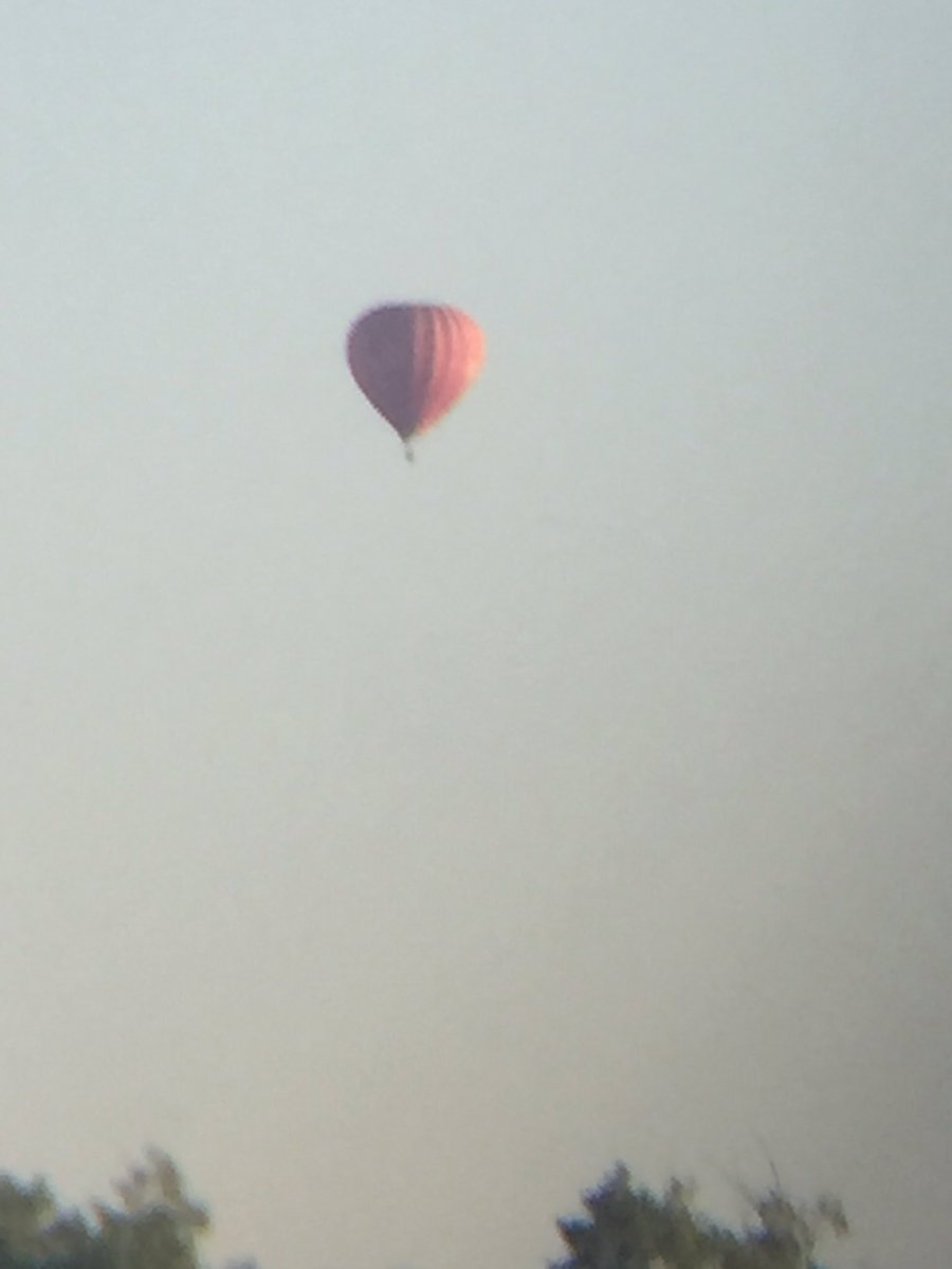 CallumBarraclo4's tweet photo. @mjballooning https://t.co/4OqkLGiwh7