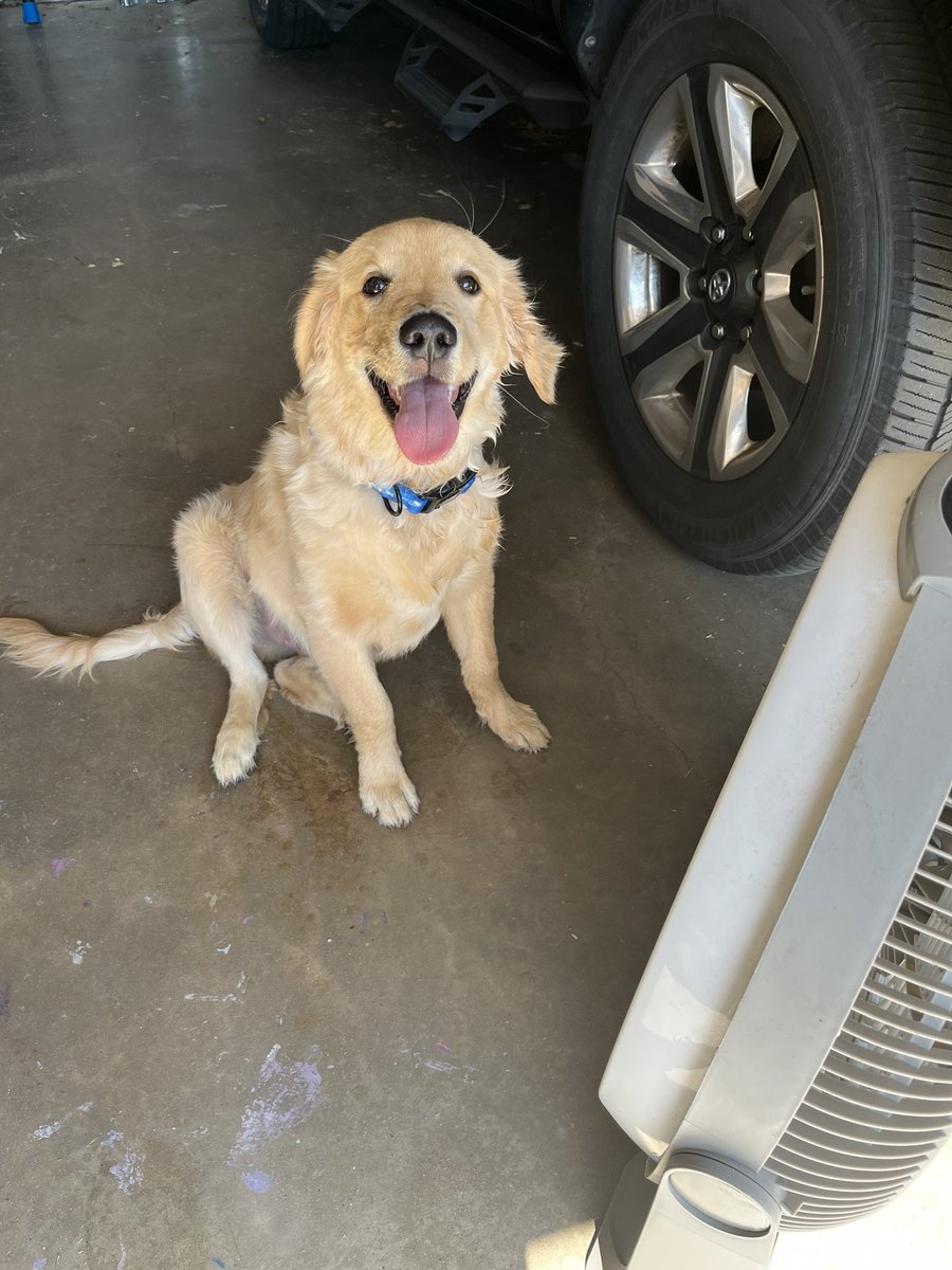 When there’s a heat advisory but playtime is a must.