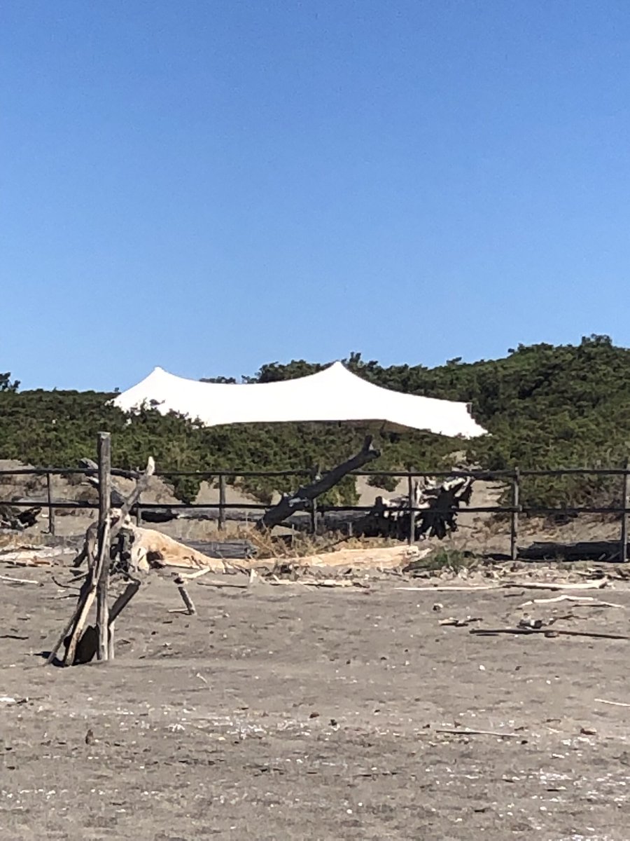 gdt62's tweet photo. In #maremma la #legge non è uguale per tutti @WWFitalia @WWFOasi @altatoscana
Sarebbe utile sapere chi in @regionetoscana autorizza questo scempio con un tappeto di #bottiglie in #spiaggia oltre al resto #chiarone
@OasiMaremma @maremmanews @MaremmaMagazine @Maremmagica https://t.co/OFbllF1PMr