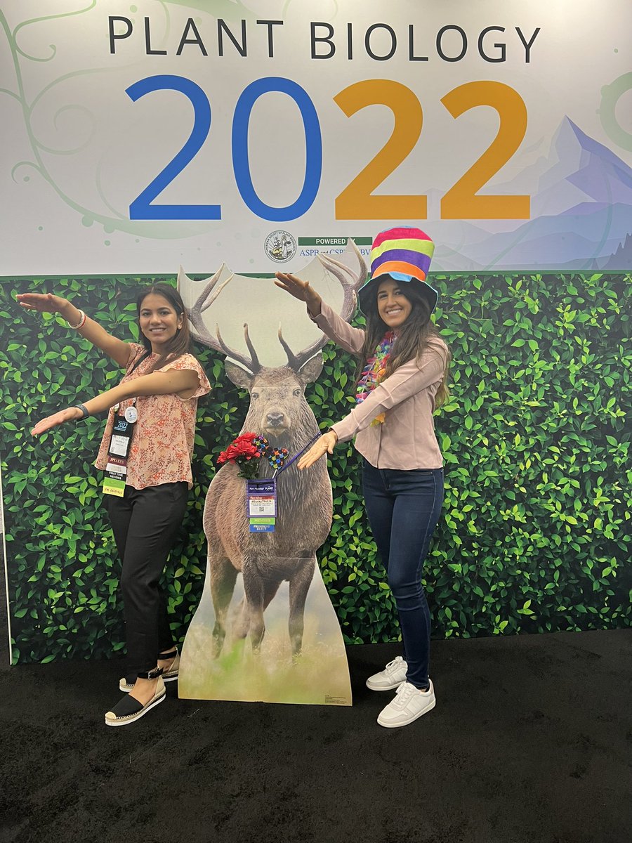 gurleenkaur_uf's tweet photo. Gators out of the swamp, and into the forest 🌲🐊 #PlantBio2022 #PlantBiology2022 @NadiaNazihM  @ASPB https://t.co/XO7XJIss38