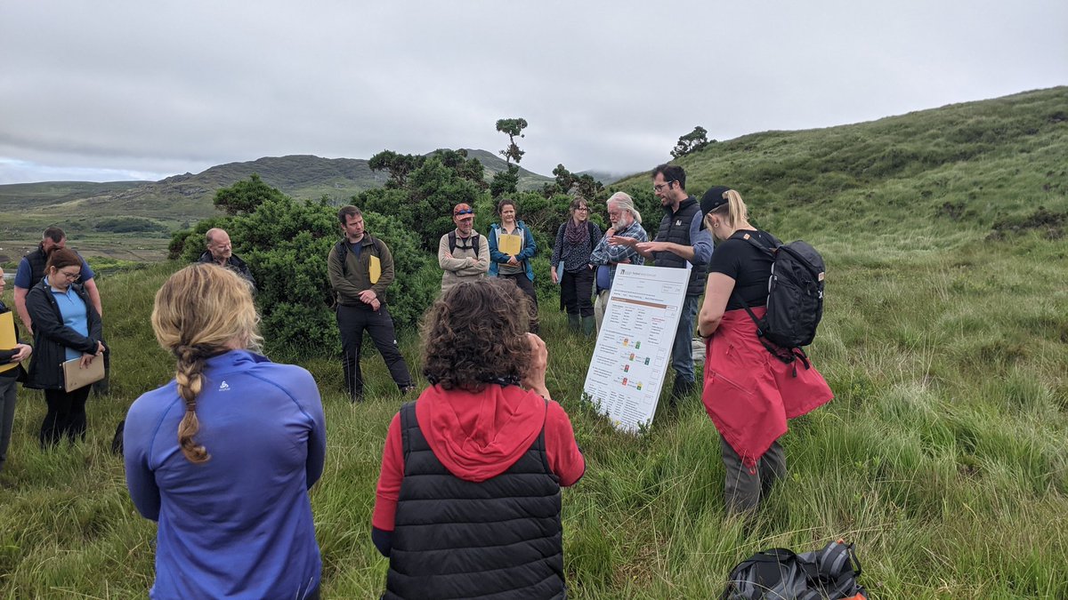 Great to get out with @CorncrakeLife, @WAN_LIFEIP and @LIFEonMachair last week to discuss their approach to the conservation of some of Ireland's rarest and most threatened habitats/species @npwsBioData @ConnemaraNP