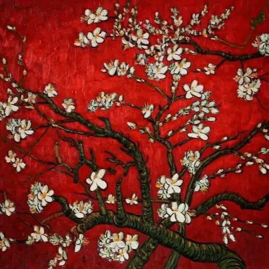 Arteymas_'s tweet photo. Ramas de un almendro en flor,(1890)
por Vincent Van Gogh https://t.co/vZNGvcXK9Q