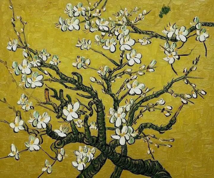 Ramas de un almendro en flor,(1890)
por Vincent Van Gogh