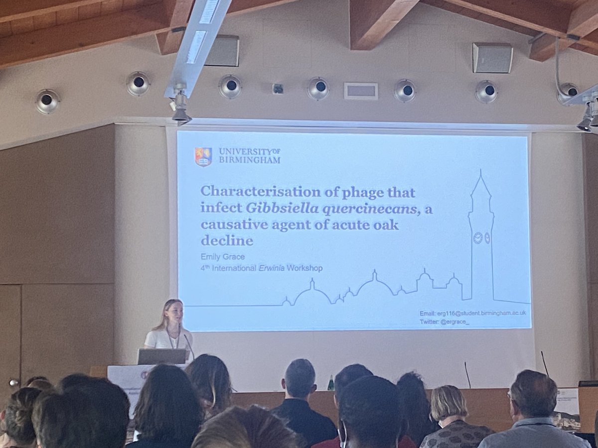 Emily Grace (@ergrace_) on Twitter photo Had an amazing time at my first international conference <a href="/icppb2020/">ICPPB2020Assisi</a>, thank you so much! Had an amazing time at my first international conference <a href="/icppb2020/">ICPPB2020Assisi</a>, thank you so much!