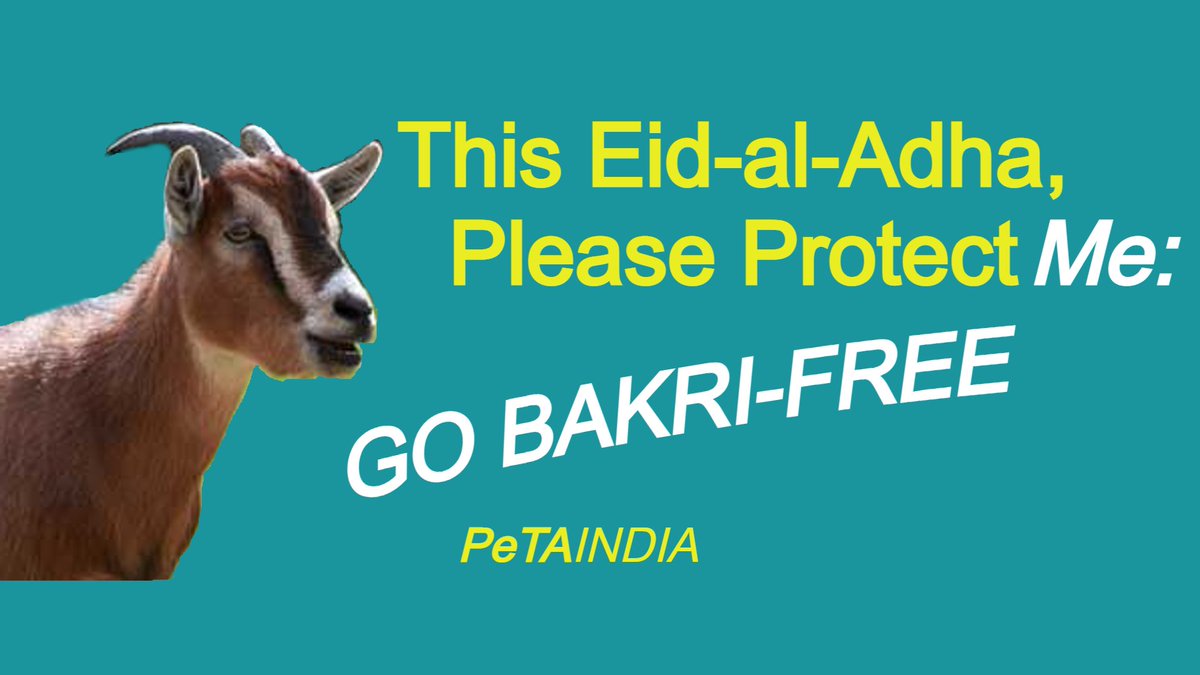 Real PETA India tweet media