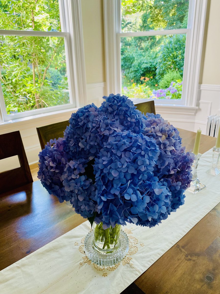 AnaCabrera's tweet photo. Fresh from the yard https://t.co/r0v2LsZVta