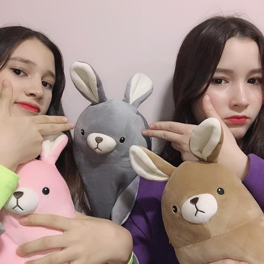 livelytelly's tweet image. Dear @MinisoOfficial @MinisoIndonesia gak restock boneka ini lagi kah?
Saya mau beli 😭 cari di e-commerce udah pada gak ada 😭💔 

#largerabbitplushieminiso #miniso #rabbitplushie