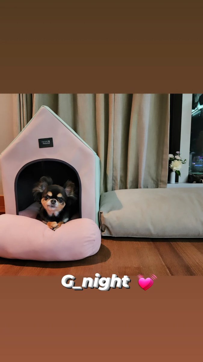 jgthaifamily_'s tweet photo. 20220710 #อีจุนกิอัปเดต Insta Story

จุนกิพาน้องกาบิ🐶มาราตรีสวัสดิ์ ส่งแฟนๆเข้านอนค่ะ

G_night 💓

-

ราตรีสวัสดิ์ 💓

https://t.co/gnjEIY32Zt

#Againmylife #어게인마이라이프 #Againma #어겐마 #이준기 #LeeJoonGi #อีจุนกิ #ลีจุนกิ #LeeJunKi #イジュンギ #李準基 #李准基 #actor_jg https://t.co/tULRvEo9XH