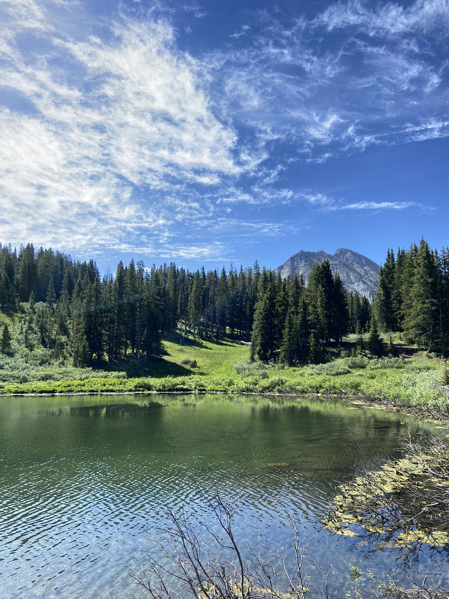 lydsdean's tweet photo. People said I should take time to travel before grad school, but I don't think that would have been necessary🤩🌄 https://t.co/y6HNY4ZO5J