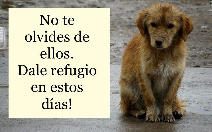 No los olvidemos 😞
#lluvia