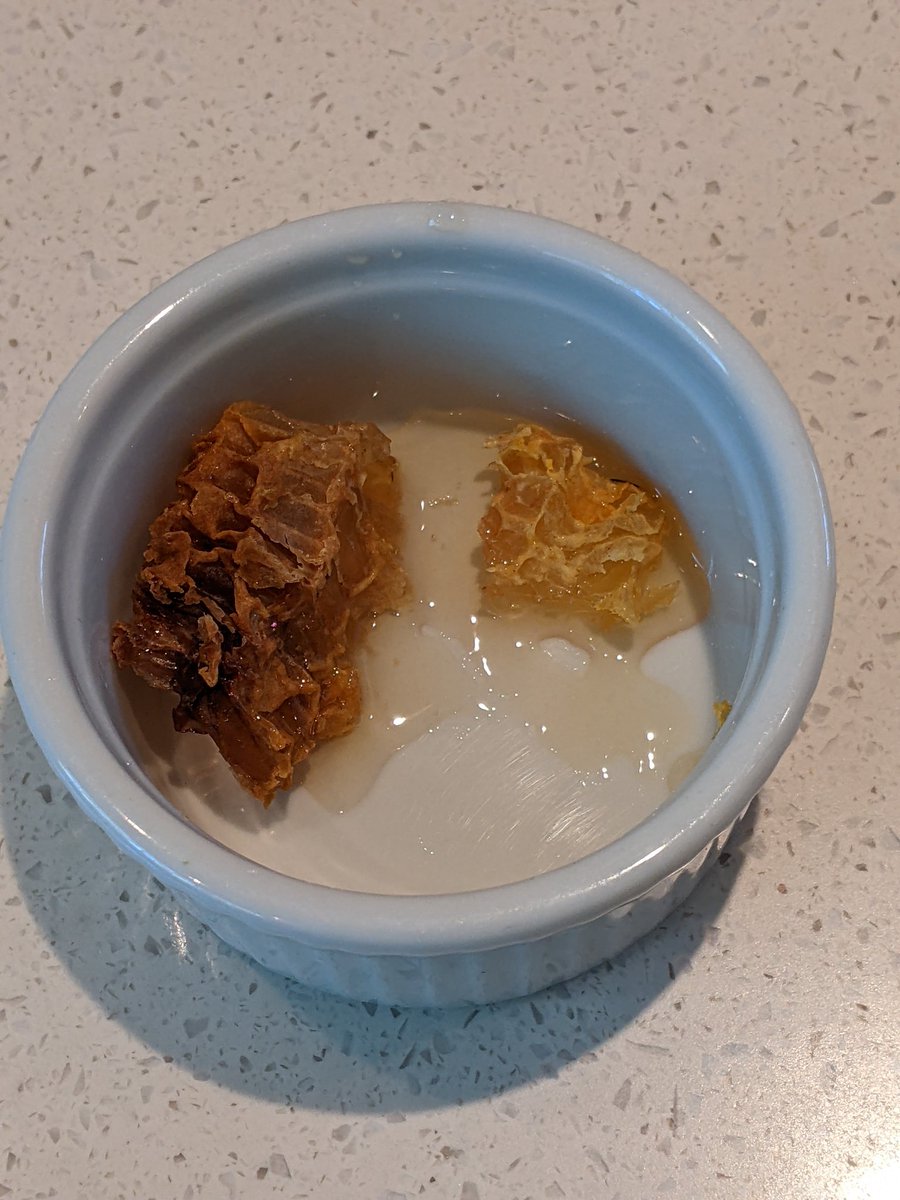 IslandBoyFarms's tweet photo. Thief! Fingered a little honey comb during the inspection. Light flavor since it's probably a lot of syrup. We're in a dearth of resources which is normal for N. Cal.
#honey
#beekeeperpat
#islandboyfarms https://t.co/abE7irv5xN