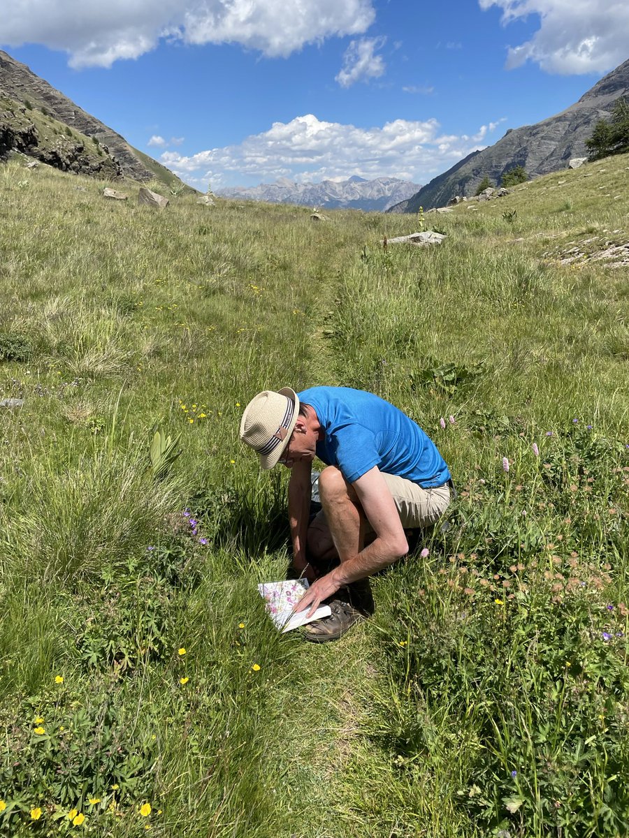 LockettRichard's tweet photo. En retour from a wee holiday in the Écrins National Park, French Alps. An extraordinarily diverse place. Wildflower filled meadows and woods, low intensity pastoral farming, alpine peaks, large carnivores….the works. https://t.co/eZkl6ARGpu