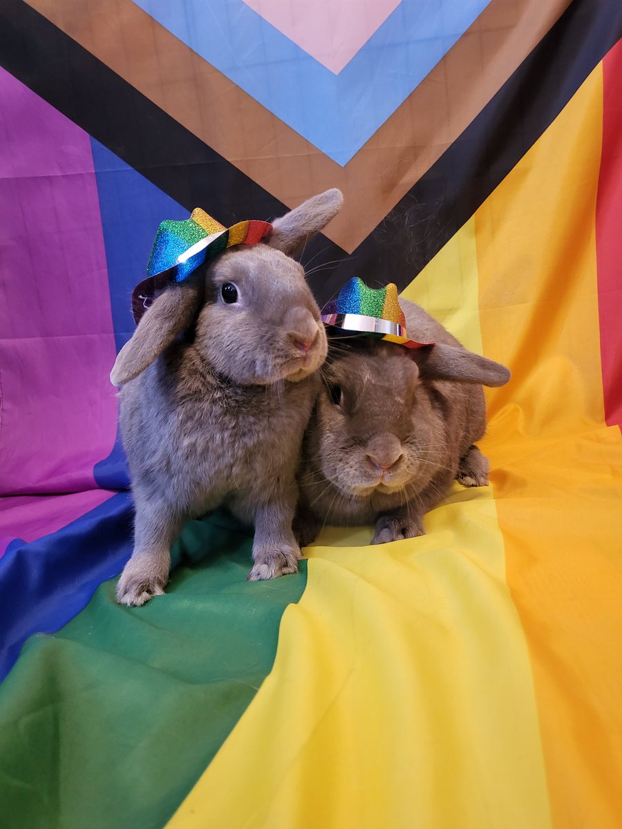 lucifignewton's tweet photo. Hoppy gay wrath month https://t.co/rYrsGXlS2J