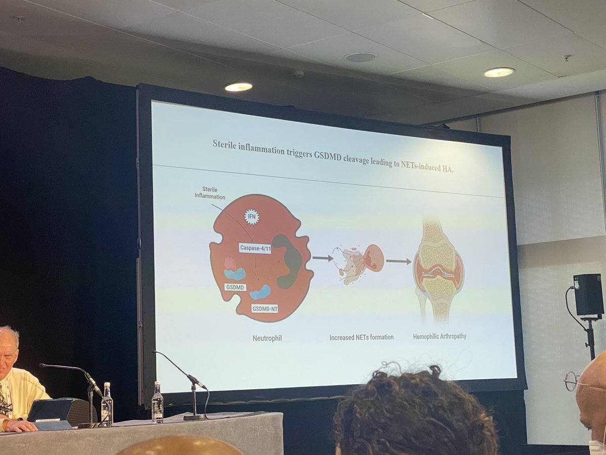 Kate Regling DO tweet media