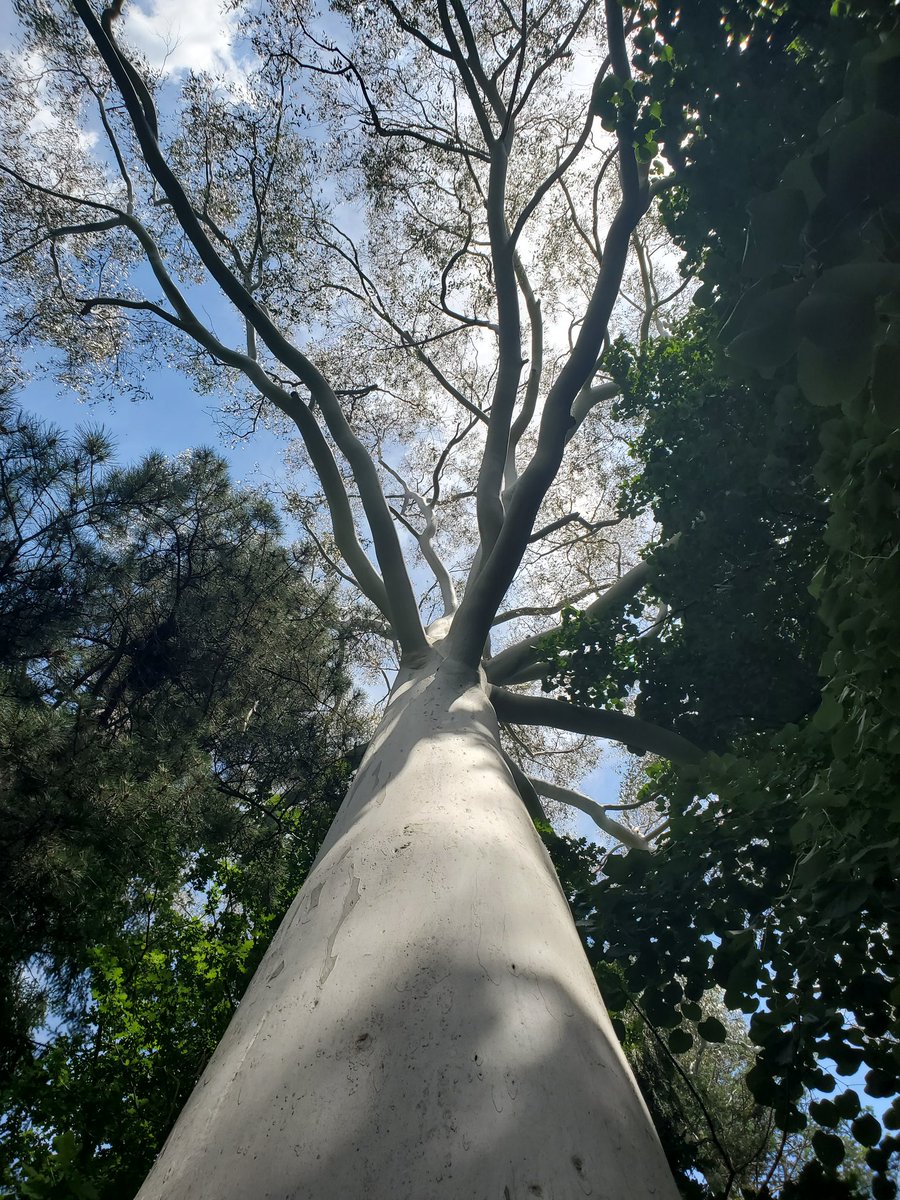 Steve Bellerby tweet media