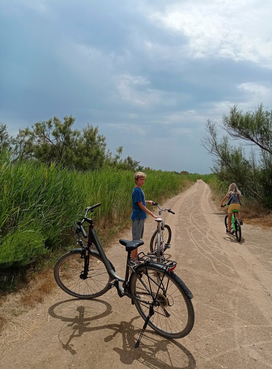 mooncupcake717's tweet photo. Fantàstics dies a l'Ampolla, la porta del Delta. Des de les dunes de la platja de l'Arenal i la biodiversitat de la Bassa de les Olles fins a les aigües blavíssimes de Cap Roig. Sempre amb la Punta del Fangar de fons. 💚 @lampollaturisme @terresebretur #deltadelebre https://t.co/yZnbz26quH
