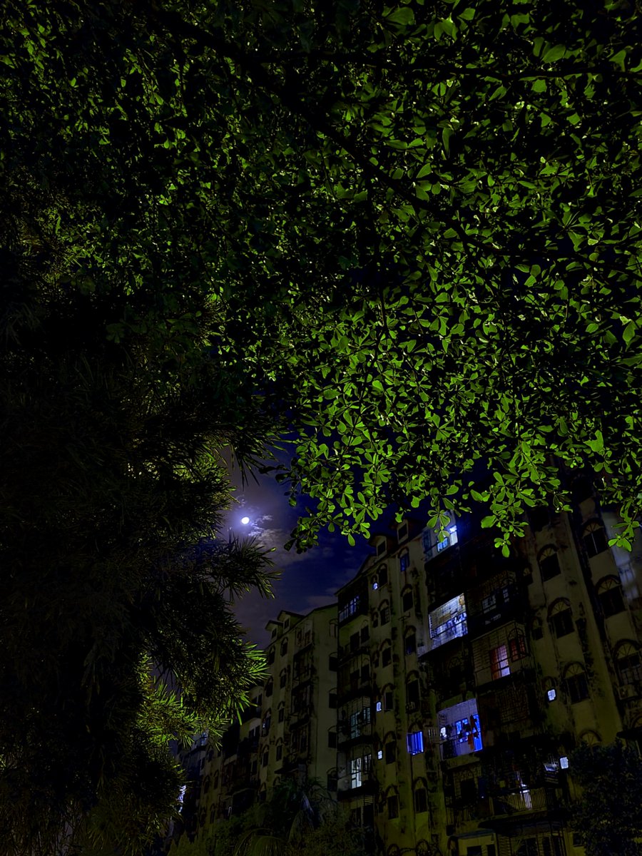 Mrpelik_'s tweet photo. 4am https://t.co/ksZYwEEkd3
