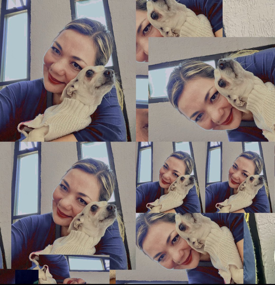 Scarlett_vg's tweet photo. MEGAN ♥️🐶 ya está en casa, después de su cirugía cuádruple: extirpación de bazo, corrección de dos hernias y esterilización, es una campeona muy valiente‼️👑🥰💝🥳 #GraciasDios 🙏🏻 https://t.co/PHa1fUwkwg