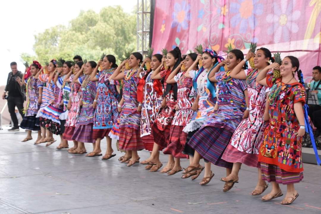 Sentidos Oaxaca tweet media