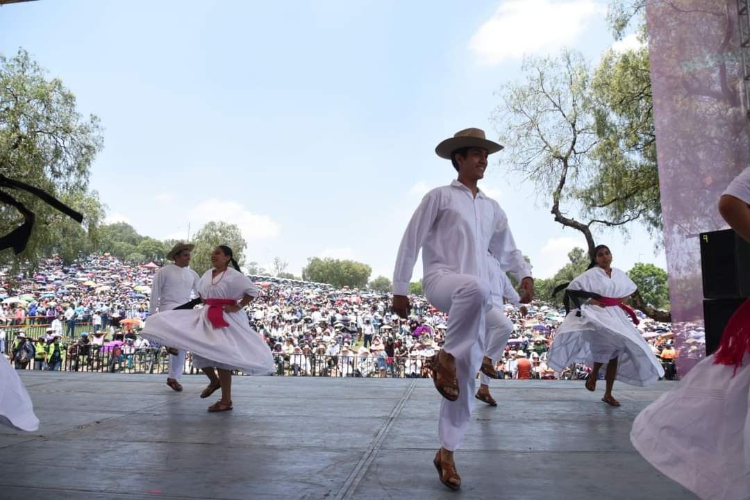 Sentidos Oaxaca tweet media