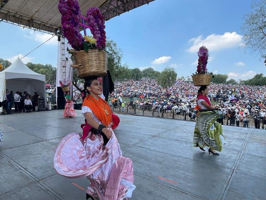 Sentidos Oaxaca tweet media