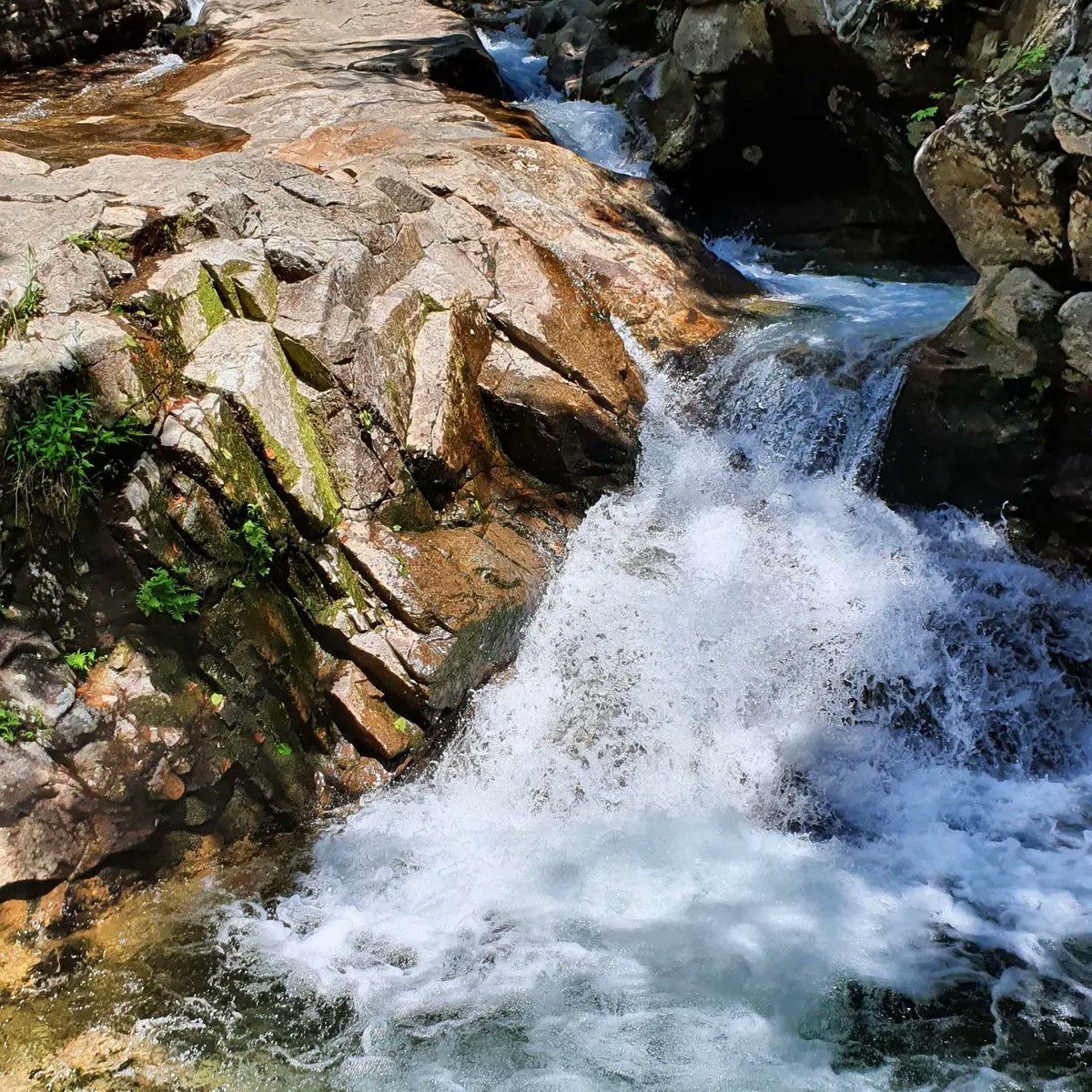 si_schr's tweet photo. T-Shirts that I read on my path to the waterfall: Guns and Roses, GRIMS, LEGEND LEGEND LEGEND, New England Patriots Edelman 11, Columbia, Life is like a camera, Pink Floyd New York City July 4th, Sun Daze Beach Club, HURLEY, SuperDry, I'll do it. https://t.co/X2g3OnIL3A