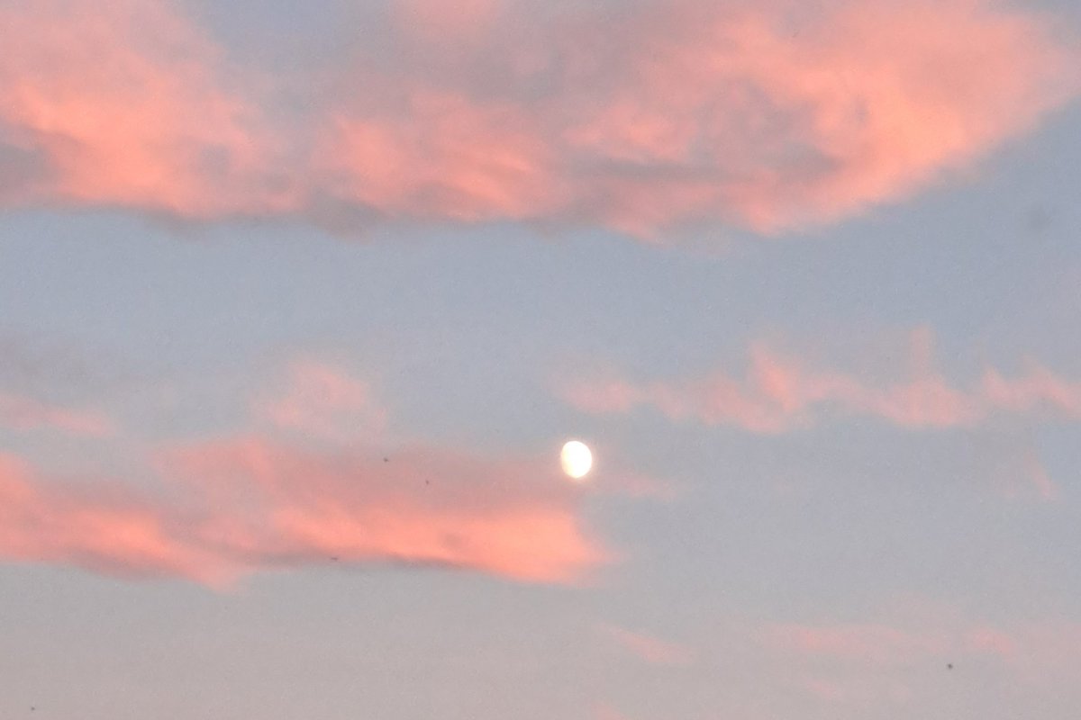 Some lovely pink puffy clouds with the moon peaking through