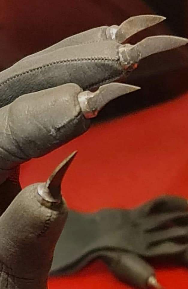 ⋆˖⁺‧₊☽ Arsenic In Shell ☾₊‧⁺˖⋆ tweet media