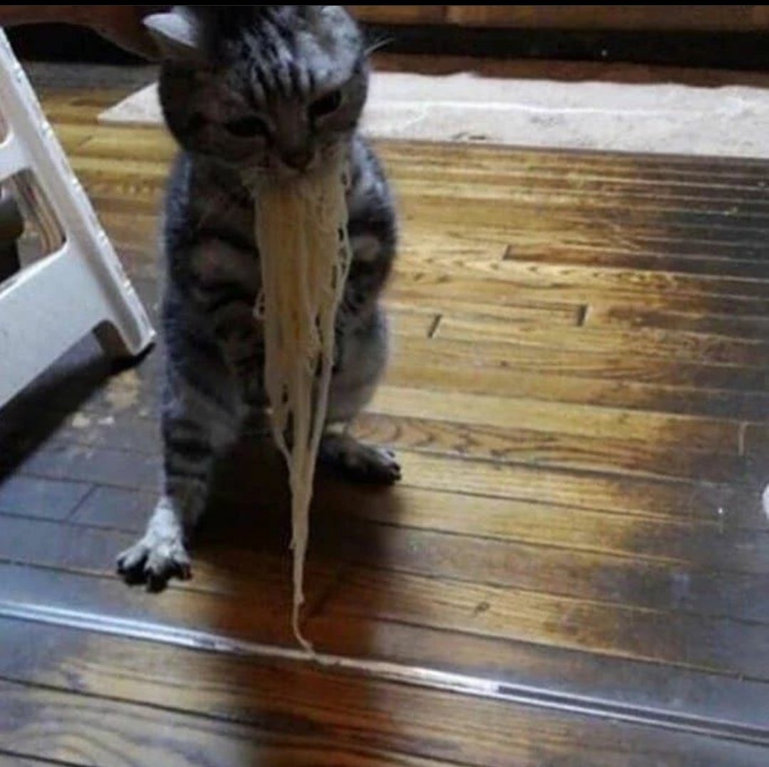 the spaghetti monster approaches