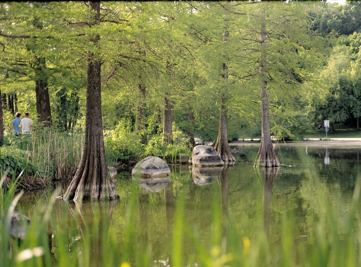BozhkoDM's tweet photo. Westpark gem. Mamiya 645 &amp; Portra 400 https://t.co/3S0Jskjb4S