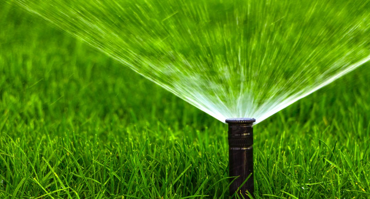 We desperately need your help to reduce water consumption to avoid mandatory restrictions. Water your lawn yesterday? Then there’s no need to water today. If you’re watering more than 2x a week, you’re watering too much! Remember, no watering outside between 10 am and 6 pm daily.