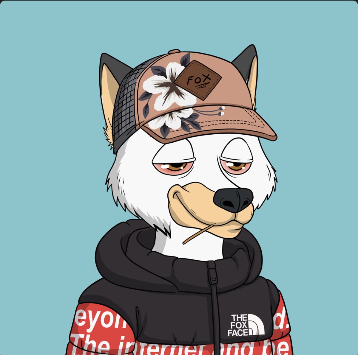 timsjpegs's tweet photo. Just scooped this @InternetFoxes Rank 79. Letโs see where this takes us ๐ฅ๐ฅ #internetfoxes https://t.co/p46ekoWEqB