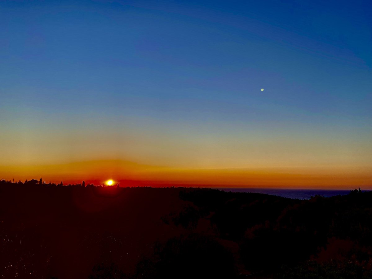 WeatherWolds's tweet photo. Goodnight. 30°C and clear skies. Cicadas. https://t.co/ZNcgvbxI8y