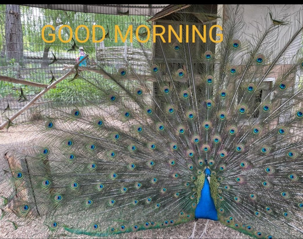 Skhalid77928704's tweet photo. https://t.co/z3fxOcVGAz