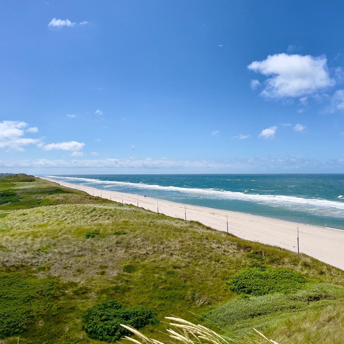 VincentStefan_'s tweet photo. Work in progress
Shooting on
Nordfriesische Inseln
#sylt #amrum #foer #helgoland #nordfriesischeinseln #travelgram #travel #travelphotography #vincentstefan https://t.co/vFqIgrCySt