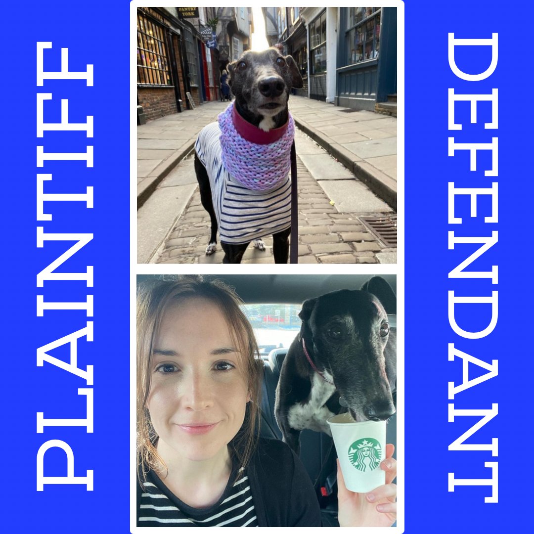 thedogcouncil's tweet image. Rhonda v Auntie
#TDCDocket22190
.
“I’m advertising for a new milliner to replace auntie after my jubilee crown kept collapsing and she had to stuff it with poo bags. It’s hard to feel regal when people are saying “Rhonda your poo bags are showing”. #poorworkmanship #jubaloo