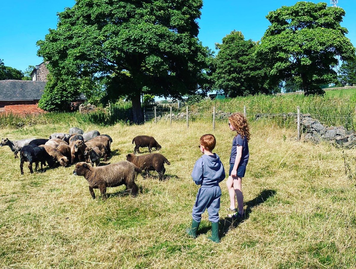 Think it would just be easier if you asked us what we haven’t done this weekend 🙌

#Shearing #SheepShearing #Pa #TheGingerShepherd #FarmingFamily #Teamwork #BernardsFarmRyelands #FirstGenerationFarmers #PeakDistrictFarmers #UplandFarming