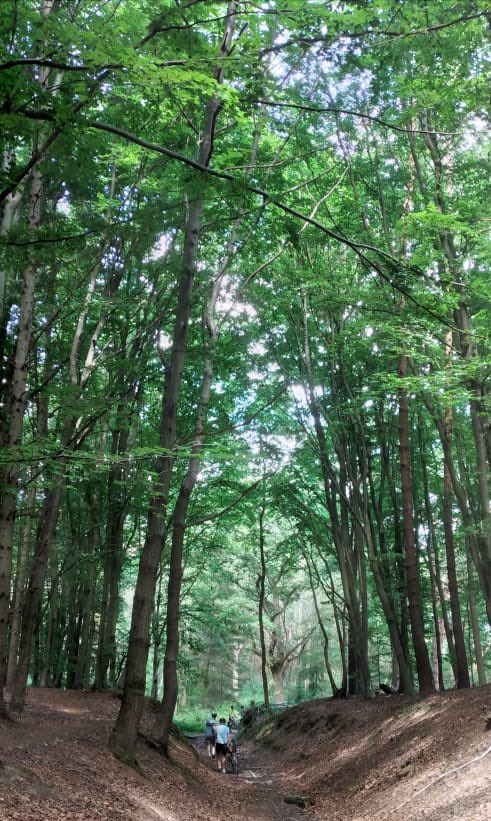 jamesnurton tweet media