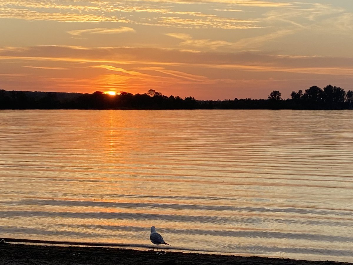 Sitting on the shores of Georgian Bay we had the pleasure of listening to Barry Knox live by the fire (son of friend and fellow Clerk Yvonne Aubichon &amp; husband Scott) The amazing talent on display via Apple: music.apple.com/ca/album/the-f… Nice weather, great wine, fantastic company.